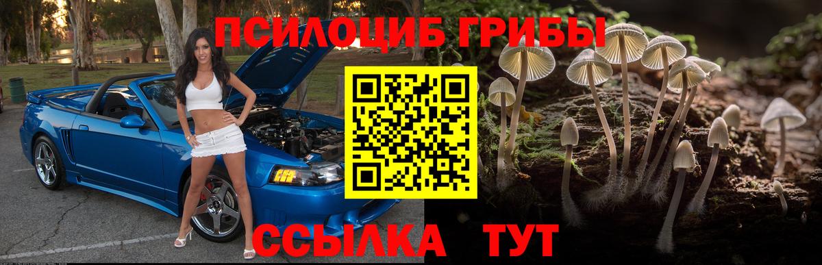 Галлюциногенные грибы прущие грибы  Вход с VPN  наркотики  Галлюциногенные грибы мухоморы  Полевской 